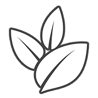 Logo's